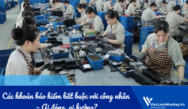 Các khoản bảo hiểm bắt buộc với công nhân – Ai đóng, ai hưởng?