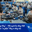 “The Big Stay” – Khi người lao động Việt chọn “an phận” thay vì nhảy việc