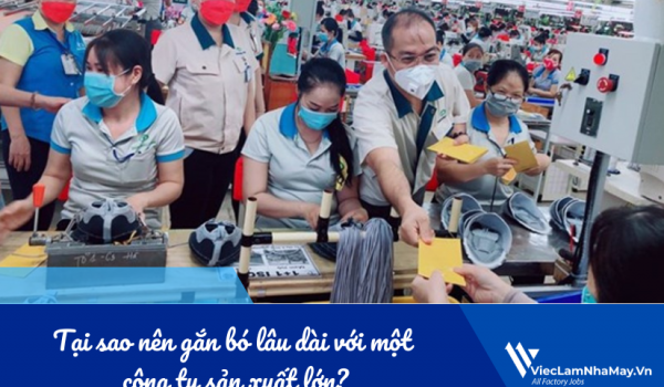 Tại sao nên gắn bó lâu dài với một công ty sản xuất lớn?