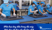 Phân loại công nhân trong nhà máy: Hiểu đúng để chọn việc phù hợp nhất