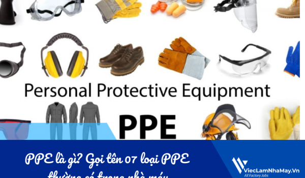PPE là gì? Gọi tên 07 loại PPE thường có trong nhà máy