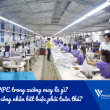 PPE trong xưởng may là gì? Vì sao công nhân ngành may bắt buộc phải tuân thủ?