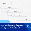 5 Why là gì? 5 Why được áp dụng trong trường hợp nào và ví dụ thực tế
