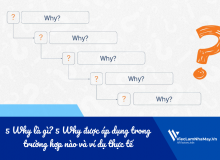 5 Why Là Gì? 5 Why Được Áp Dụng Trong Trường Hợp Nào Và Ví Dụ Thực Tế