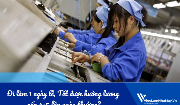 Đi làm 1 ngày lễ, Tết được hưởng lương gấp 4-5 lần ngày thường?