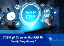 Sap Là Gì? Tại Sao Nên Thạo Sap Khi Làm Việc Trong Nhà Máy?