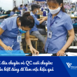 QC đầu chuyền và QC cuối chuyền: Phân biệt đúng để làm việc hiệu quả trong nhà máy