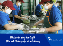 Nhân Viên Căng Tin Là Gì? Bản Mô Tả Công Việc Và Mức Lương Trong Nhà Máy