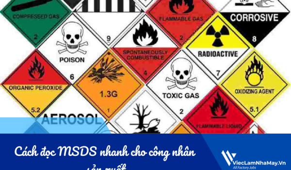 Cách đọc MSDS nhanh cho công nhân sản xuất: Hướng dẫn hiểu đúng trong 5 phút