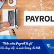 Nhân viên Payroll là gì? Mô tả công việc và mức lương chi tiết trong nhà máy