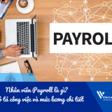 Nhân viên Payroll là gì? Mô tả công việc và mức lương chi tiết trong nhà máy