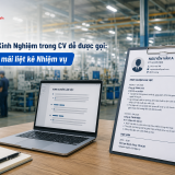 Cách viết Kinh Nghiệm trong CV dễ được gọi: Đừng chỉ mãi liệt kê Nhiệm vụ