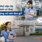Đang thử việc thì biết mình có thai, lao động nữ nên làm gì?