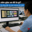 Nhân viên giác sơ đồ là gì? Bản mô tả công việc và mức lương mới nhất