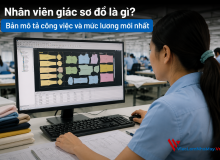 Nhân Viên Giác Sơ Đồ Là Gì? Bản Mô Tả Công Việc Và Mức Lương Mới Nhất
