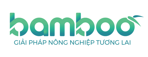 CÔNG TY TNHH XUẤT NHẬP KHẨU SẢN XUẤT THƯƠNG MẠI BAMBOO VIỆT NAM