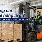 Chứng chỉ lái xe nâng là gì? Điều kiện học, chi phí và cơ hội việc làm mới nhất