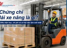 Chứng Chỉ Lái Xe Nâng Là Gì? Điều Kiện Học, Chi Phí Và Cơ Hội Việc Làm Mới Nhất