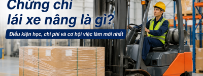 Chứng chỉ lái xe nâng là gì? Điều kiện học, chi phí và cơ hội việc làm mới nhất