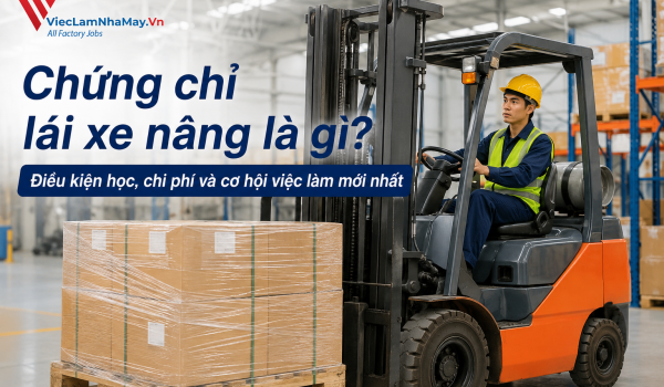 Chứng chỉ lái xe nâng là gì? Điều kiện học, chi phí và cơ hội việc làm mới nhất