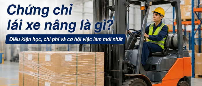Chứng chỉ lái xe nâng là gì? Điều kiện học, chi phí và cơ hội việc làm mới nhất