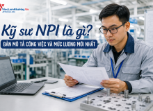 Kỹ Sư Npi Là Gì? Bản Mô Tả Công Việc Và Mức Lương Mới Nhất