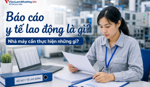 Báo cáo y tế lao động là gì? Nhà máy cần thực hiện những gì?