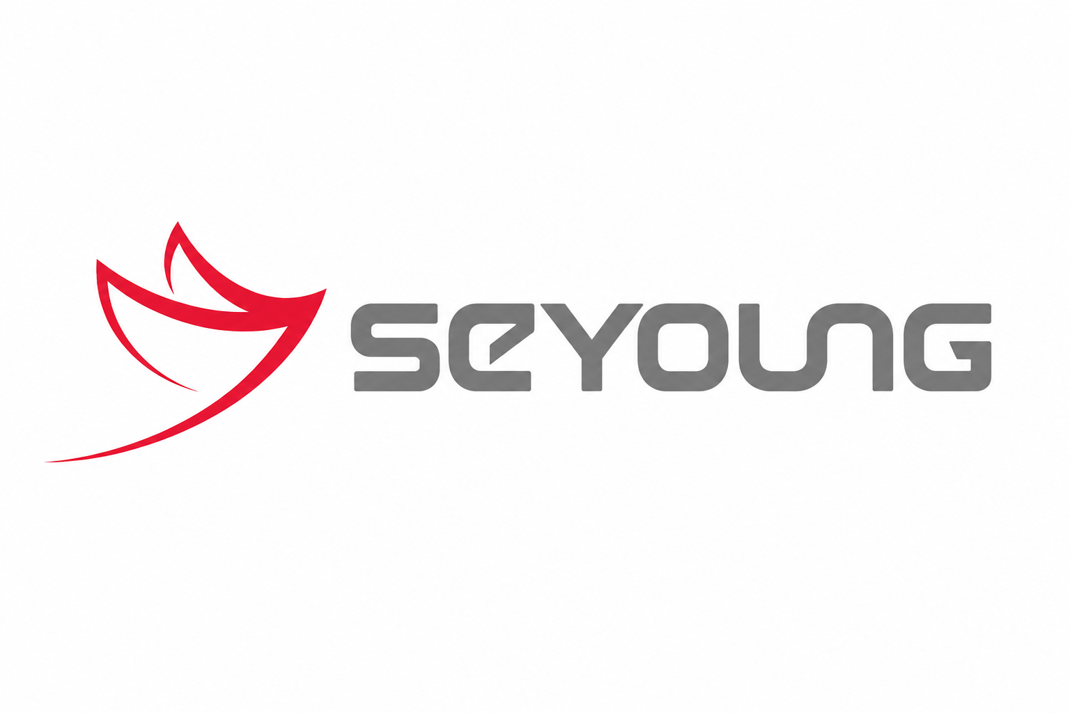CÔNG TY TNHH SEYOUNG VIỆT NAM