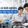Chưa có kinh nghiệm, chọn việc nhà máy thế nào để dễ bắt đầu?