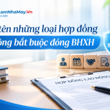 Gọi tên những loại hợp đồng không bắt buộc đóng BHXH