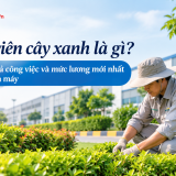 Nhân viên cây xanh là gì? Bản mô tả công việc và mức lương mới nhất trong nhà máy