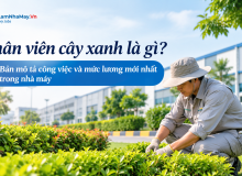 Nhân Viên Cây Xanh Là Gì? Bản Mô Tả Công Việc Và Mức Lương Mới Nhất Trong Nhà Máy