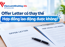 Offer Letter Có Thay Thế Hợp Đồng Lao Động Được Không?