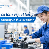 Một ca làm việc 8 tiếng trong nhà máy có thực sự “nhàn”?